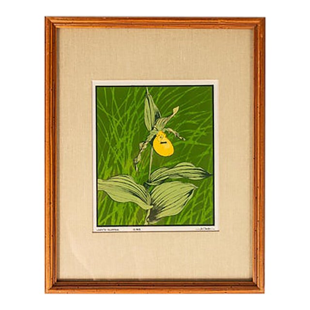 Mid-Century Modern Boho Chic 18/65 Framed & Signed Lithograph Print of a Lady's Slipper Orchid by John Cook, Usa, C. 1960s For Sale