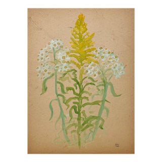 A 1928 Botanical Watercolor Featuring a Study of Goldenrod and Daisies by Artist Harold Haydon For Sale
