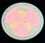 Vintage Susan Painter’ Pink Pie Cake Dish Plate Serving Platter Pottery ‘Pineapples Design Studio Artist Signed For Sale - Image 10 of 10