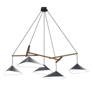 Emily Group of Five Chandelier Light in Anthracite Semi-Matte by Daniel Becker for Moss Objects For Sale