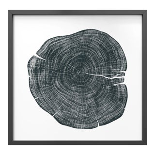 Stump 1 - Variation 1 by Trinette + Chris Print with Black Frame - 36 X 36 For Sale