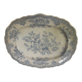Mid 19th Century Asiatic Pheasant Platter For Sale