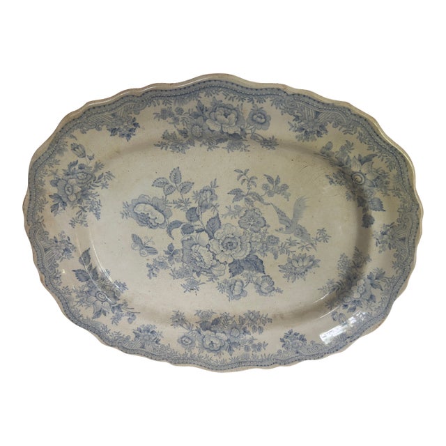 Mid 19th Century Asiatic Pheasant Platter For Sale