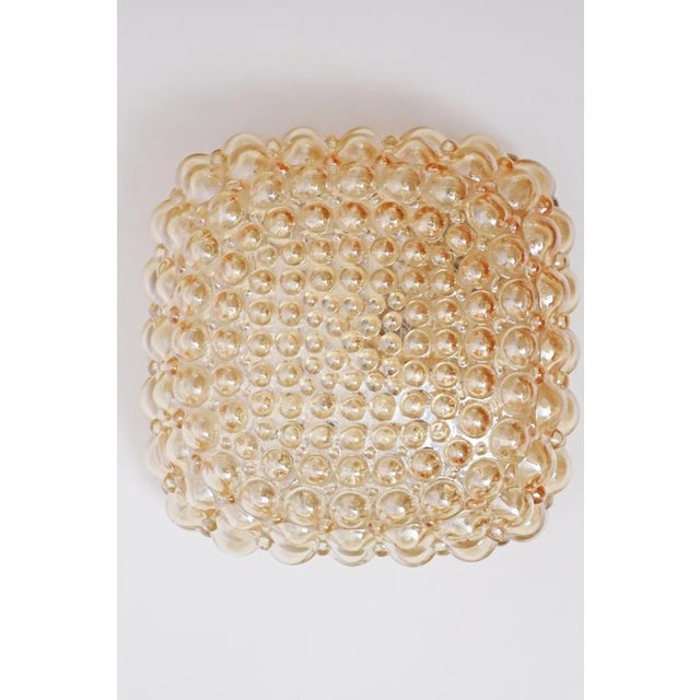 Golden Bubble Wall Light with Glass by Helena Tynell for Glashütte Limburg, 1960s For Sale - Image 12 of 17