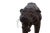Massive Mid-Century Six-Foot Panther Sculpture, Leather Wrapped, Glass Eyes For Sale - Image 4 of 7