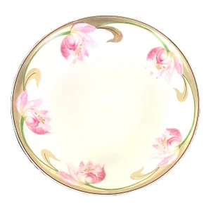 Antique P v Kloster Vessra Hand Painted German Bowl