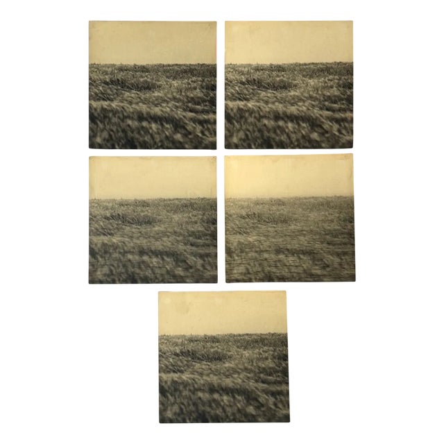 Gerry Hunt, Viewpoint Dima's Head & Seagrass, Photographs Mounted on Wood Panels, 1977, Set of 5 For Sale