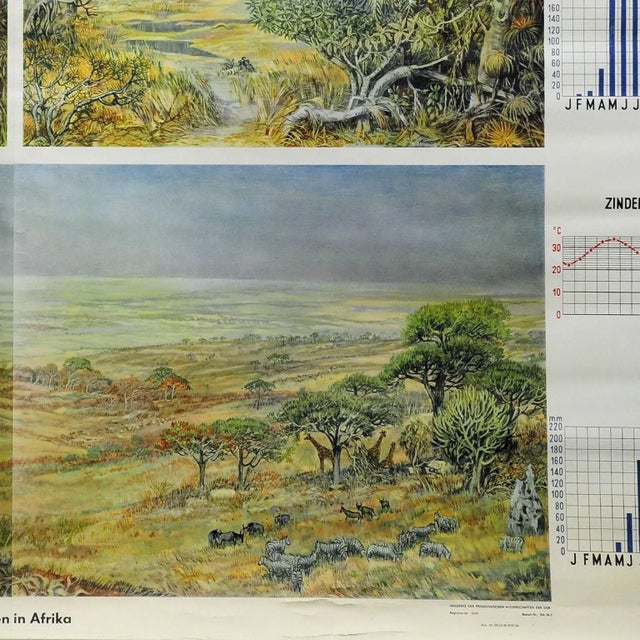 1970s Vintage Cottage Core Africa Savanna Landscape Weather Seasons Rollable Wall Chart For Sale - Image 5 of 6