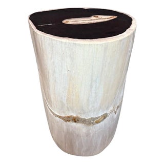 Andrianna Shamaris Black and White Petrified Wood Side Table or Pedestal For Sale
