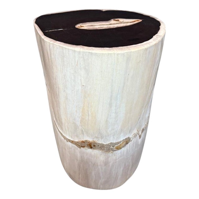 Andrianna Shamaris Black and White Petrified Wood Side Table or Pedestal For Sale