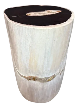 Andrianna Shamaris Black and White Petrified Wood Side Table or Pedestal
