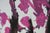 Naumackia Poster after Cy Twombly For Sale - Image 5 of 7