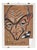 Bignami, Caricature of Face, 1953, Drawing on Paper For Sale