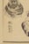 Vintage Japanese Scallop Shells, Woodblock Print Reproduction, 24" X 36" For Sale - Image 4 of 11