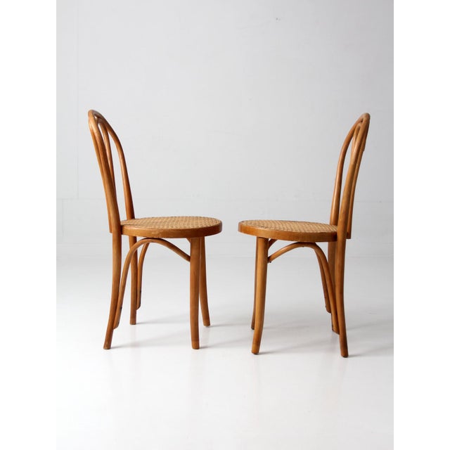 Mid 20th Century Mid-Century Bentwood Chairs Pair For Sale - Image 5 of 18