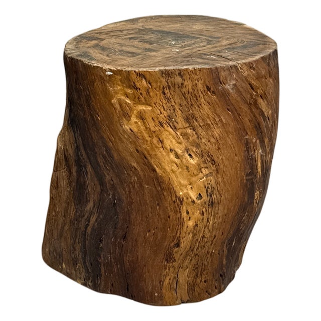 Mid 20th Century Honey Brown Twisted Free-Form Tree Trunk Side Pedestal Table For Sale