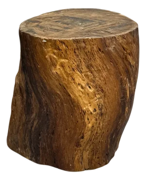 Mid 20th Century Honey Brown Twisted Free-Form Tree Trunk Side Pedestal Table
