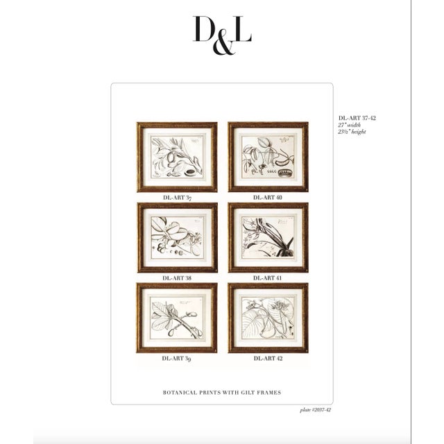 Dennis & Leen Botanical Print With Gilded Frame – DL-Art 42 For Sale - Image 12 of 14