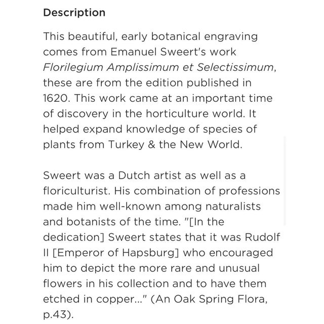 17th Century Emanuel Sweert 17th Century Engraving, Hyacinths For Sale - Image 5 of 6