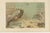 Lydekker, Crustaceans & Cephalopoda, 1896, Color Process Prints, Set of 2 For Sale - Image 6 of 9