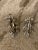Metal Caldwell Silver Plated Sconces - a Pair For Sale - Image 7 of 7