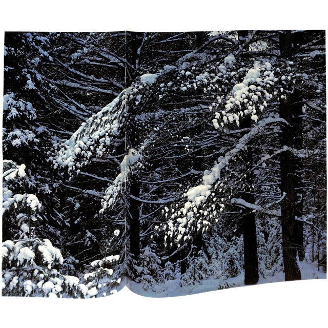 "Forever Wild: The Adirondacks" 1966 Porter, Eliot For Sale - Image 11 of 12