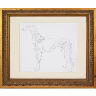 Vintage Greyhound Dog Portrait Pencil Drawing 20th C For Sale