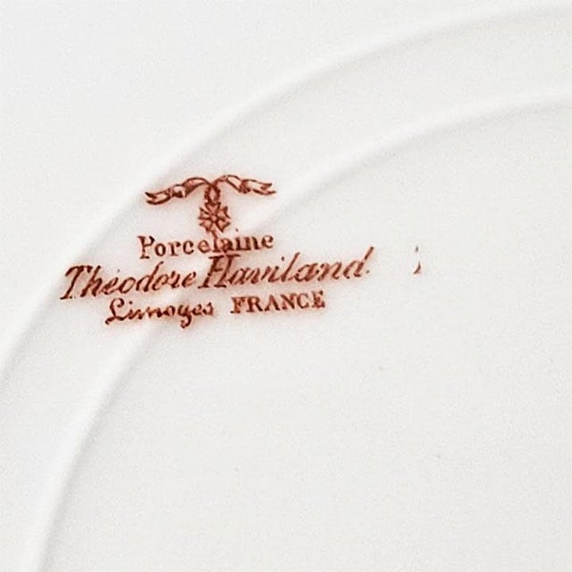 Theodore Haviland Limoges Schleiger 146a TheodoreHaviland Fine French Porcelain Salad Plates - Set of 8 For Sale - Image 4 of 4