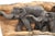 Wood Elephant Family Carved on Wood Plaque With Formica Base For Sale - Image 7 of 11