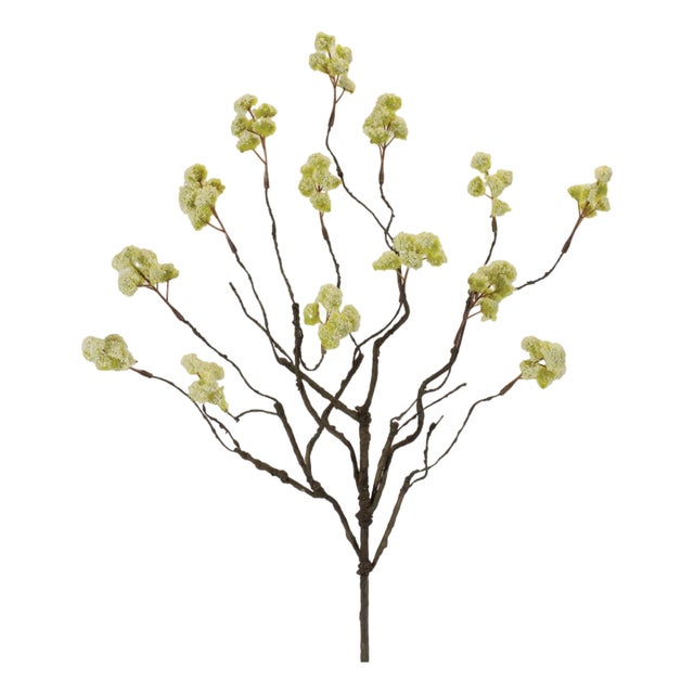 Floral Twig Spray (Set of 4) For Sale