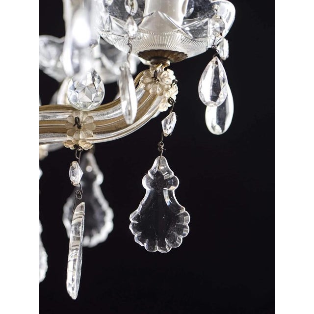 8-Arm Chandelier with Trimmings For Sale - Image 4 of 6