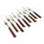 Mid 20th Century Mid Century Modern Stainless Steel With Wood Handles Cocktail Forks - Set of 9 For Sale