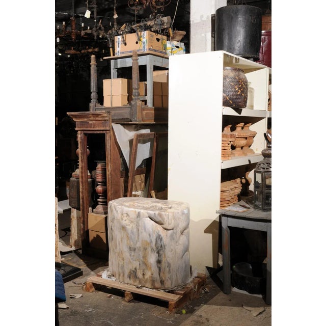 Large Petrified Wood Table Base For Sale - Image 4 of 12