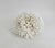 Late 20th Century Natural Birdsnest Coral Specimen Coastal Decor For Sale - Image 5 of 6