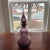 Rainbow Glass Purple Crackle Decanter/Genie Bottle that is absolutely gorgeous with a crackle body that sparkles in the...