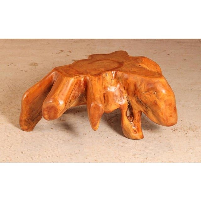 Vintage brutalist style solid teak root coffee table, circa 1970s. Excellent condition. W 94cm D 93cm H 40cm