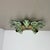 Large Florentiner Theatre Ceiling Light from Banci Firenze, Italy, 1970s For Sale - Image 3 of 18