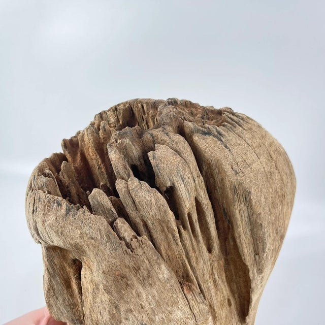 This carved wooden memorial head originates from the Bongo people of southern Sudan and may date from the 19th century or...