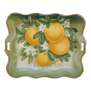 Antique Hand-Painted Porcelain Bavarian Citrus Serving Tray For Sale