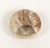 Mid-Century Modern Round Vide-Poche in Travertine from Fratelli Mannelli, Italy, 1970s For Sale - Image 13 of 17