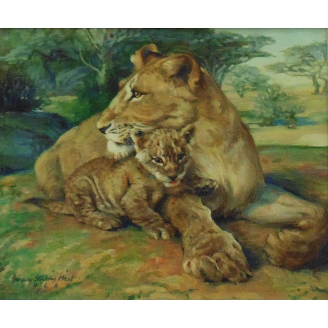 Lion & Cub Painting Oil on Canvas Signed Margery Stocking Hart Mid