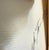 Michael Gorban, Shades of Winter, Signed Giclee on Canvas, 20 X 16 In. Stretched, Edition of 25 For Sale - Image 4 of 4