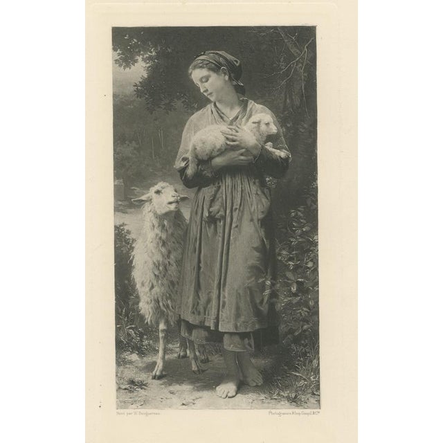 After William Bouguereau, The Newborn Lamb, 1880, Engraving For Sale - Image 9 of 9