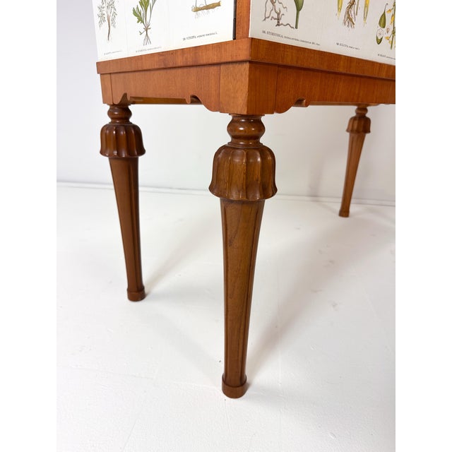 1940’s Swedish Cabinet With Nordens Flora Illustrations For Sale In Boston - Image 6 of 9