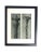 Framed Antique Photogravure Blossfeldt Botanical Print - No. 21 For Sale