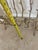 Brutalist Gold Twig Branch Iron Fireplace Log Holder - Magazine Newspaper Rack For Sale - Image 4 of 12