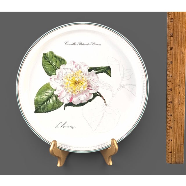 Late 20th Century Collectable Villeroy & Boch Pale Pink & White Camelia Wall Plate 1995 For Sale - Image 5 of 8