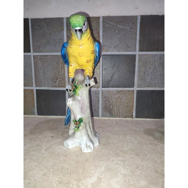 French 19thc Dresden Sitzendorf Louis XV Rococo Style Large Glazed Porcelain Sculpture of a Parrot - Signed For Sale - Image 3 of 10