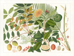 Golden Tropic Botanicals Plate #10, Giclée Print
