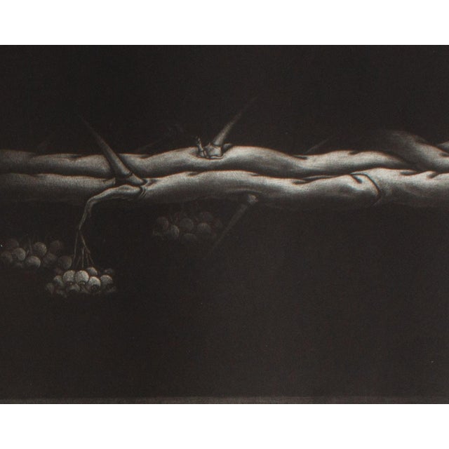A 1979 mezzotint print, titled 11th Landscape, by the Japanese artist Kazuhisa Honda (born 1948). This piece features an...